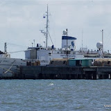 DSC_0241.JPG