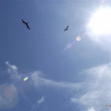 DSC_7684.JPG