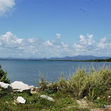 DSC_0149.JPG