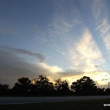 jax 11 06 047.jpg jax 11 06 047.jpg