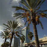 jax 11 07 015.jpg