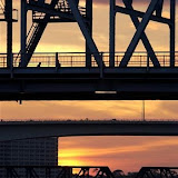 jax 11 07 027.jpg jax 11 07 027.jpg