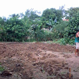 RDS Fish Pond 014.jpg RDS Fish Pond 014.jpg