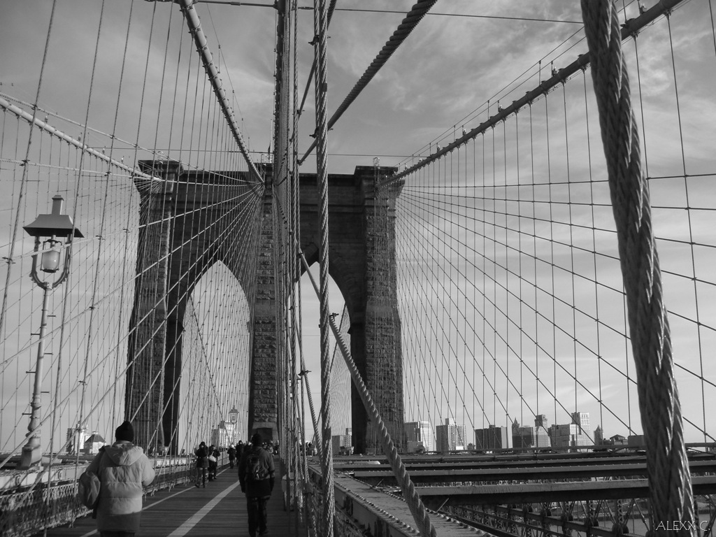 [DSC08631[4].jpg]
