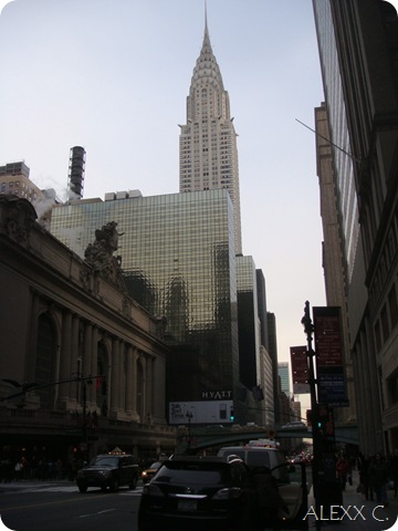 DSC08244