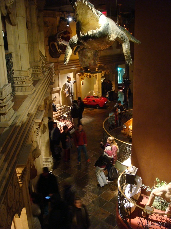 [DSC08575[1].jpg]