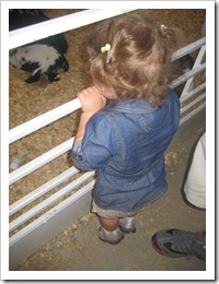 IMG_4599 IMG_4599