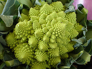 300px-Brassica_romanesco.jpg