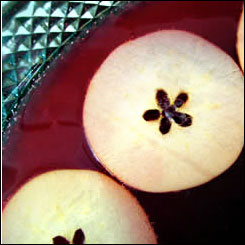 Apple Orchard Punch