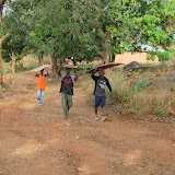  &ndash; Hauling materials for the roof of Nazareth House School Kabala, February 12, 2008....© 2008 NHA photos