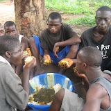  &ndash; hungry workers take a break &amp; enjoy some cassava and rice © NHA, J Mansaray 2007