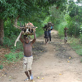  &ndash; children hauling sticks…. © 2008 NHA Media Photos
