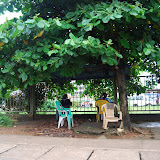  &ndash; ...© 2008 September Nazareth House Apostolate Media, Vicki Hicks: photographer