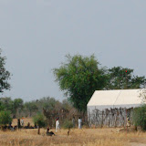 Campaing meetings under the trees in Marial Lou - right next to WFP food supplies tent