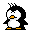 pinguino piccolo