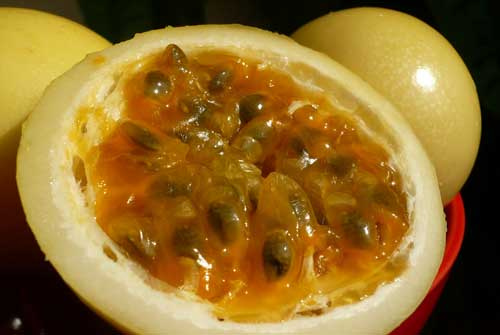 farinha de maracujá