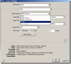 07-2009 Video Conversion Automation 05