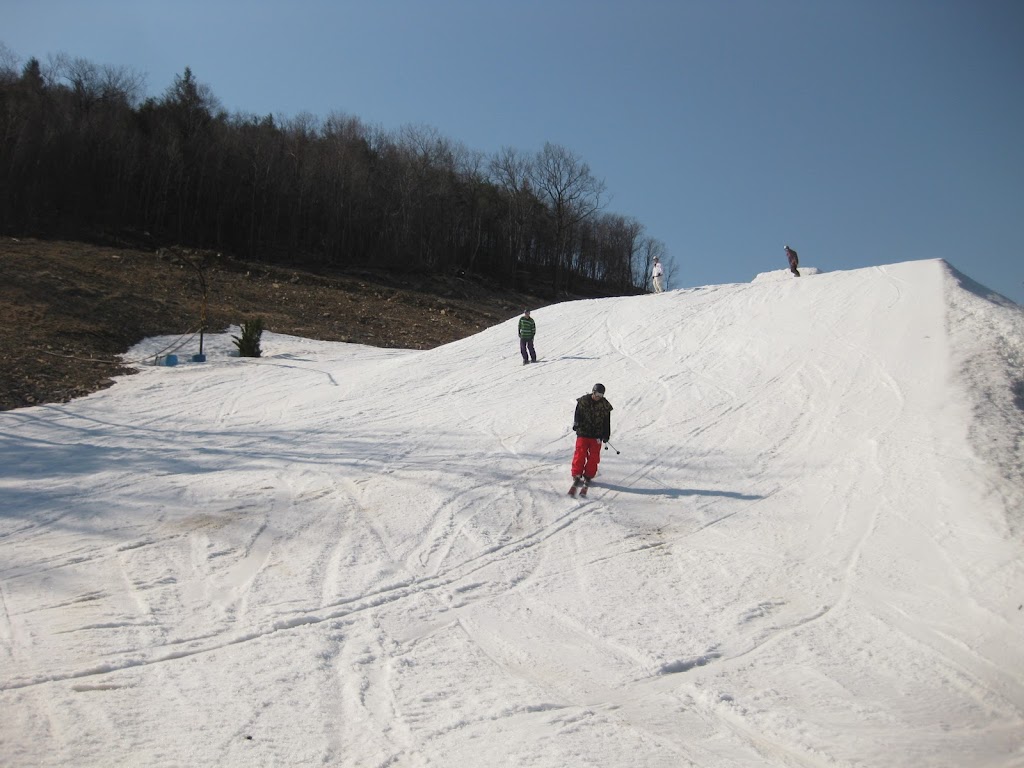 IMG_0037.JPG