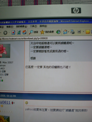 蟻害真苦惱，網路到處流傳剋蟻秘方。