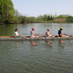 IMG_6367.jpg