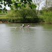 IMG_6380.jpg