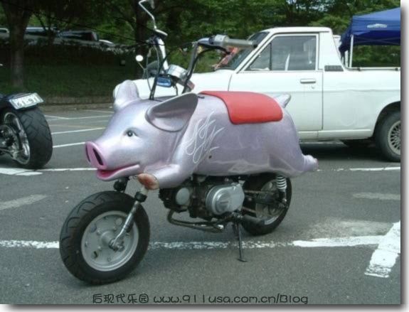 猪仔摩托车 猪仔摩托车