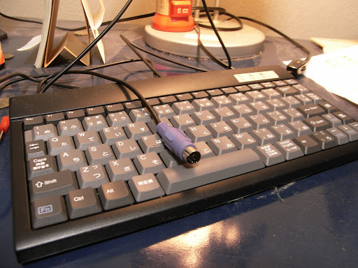 RIMG0031.JPG
