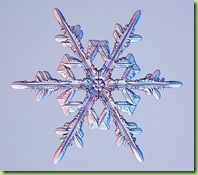 snowflakes2