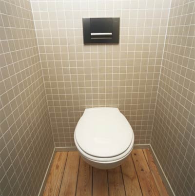 [toiletnew2.jpg]