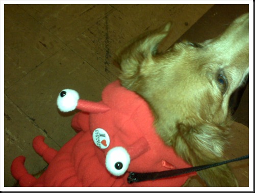 IMG00300 IMG00300
