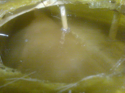 095IMAG0269.jpg