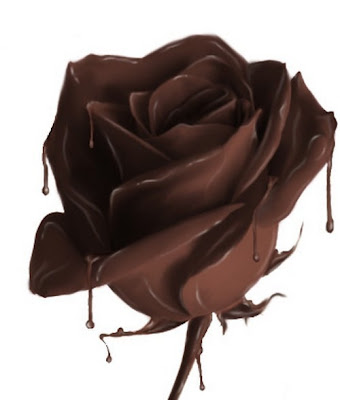 chocolate.jpg (340×400)