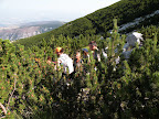 DSCN7681.JPG