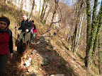 DSCN8742.JPG