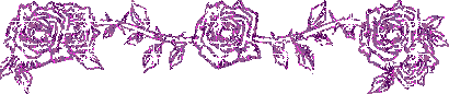89mnzb16y01 89mnzb16y01