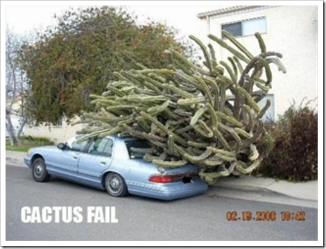 Car fail Car with giant cactus fails.