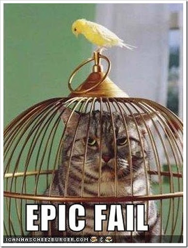 funny bird. Funny Cat in Bird Cage Fail