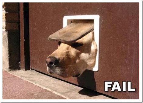 funny_dog_door%5B2%5D.jpg