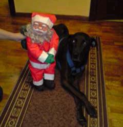 [Rabito navidad[4].jpg]