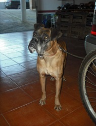 DSCF2592