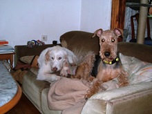 Nova_und_Hundefreundin