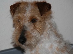 trody_27_03_2
