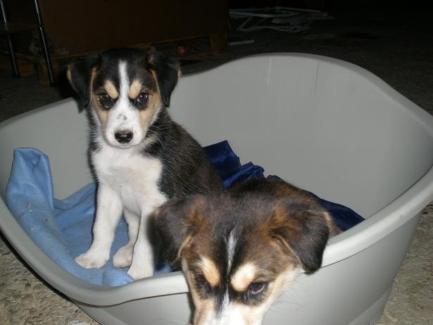 [Lola y Lolo 2[4].jpg]