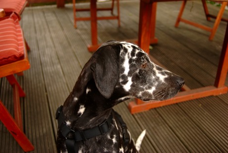 2010-06-24_DSC_3166