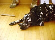 2010-07-17_DSC_3629