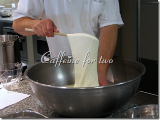 mozzarella 101 (10)