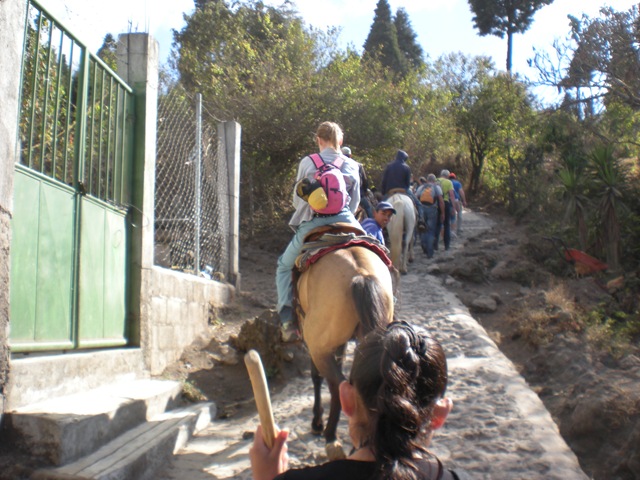 [DSCN14526.jpg]