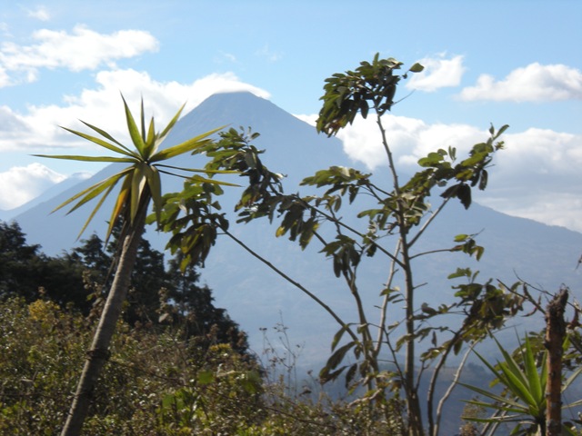 [DSCN14545.jpg]