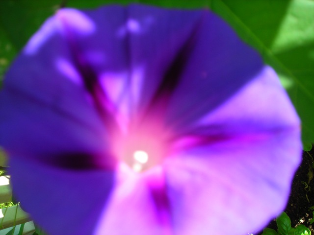 [DSCN00454.jpg]
