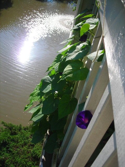 [DSCN00417.jpg]
